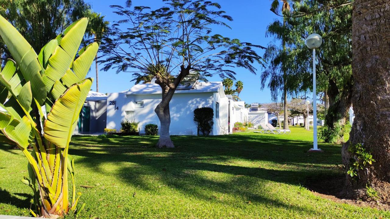 Canary Garden Club Feriested Maspalomas (Gran Canaria)