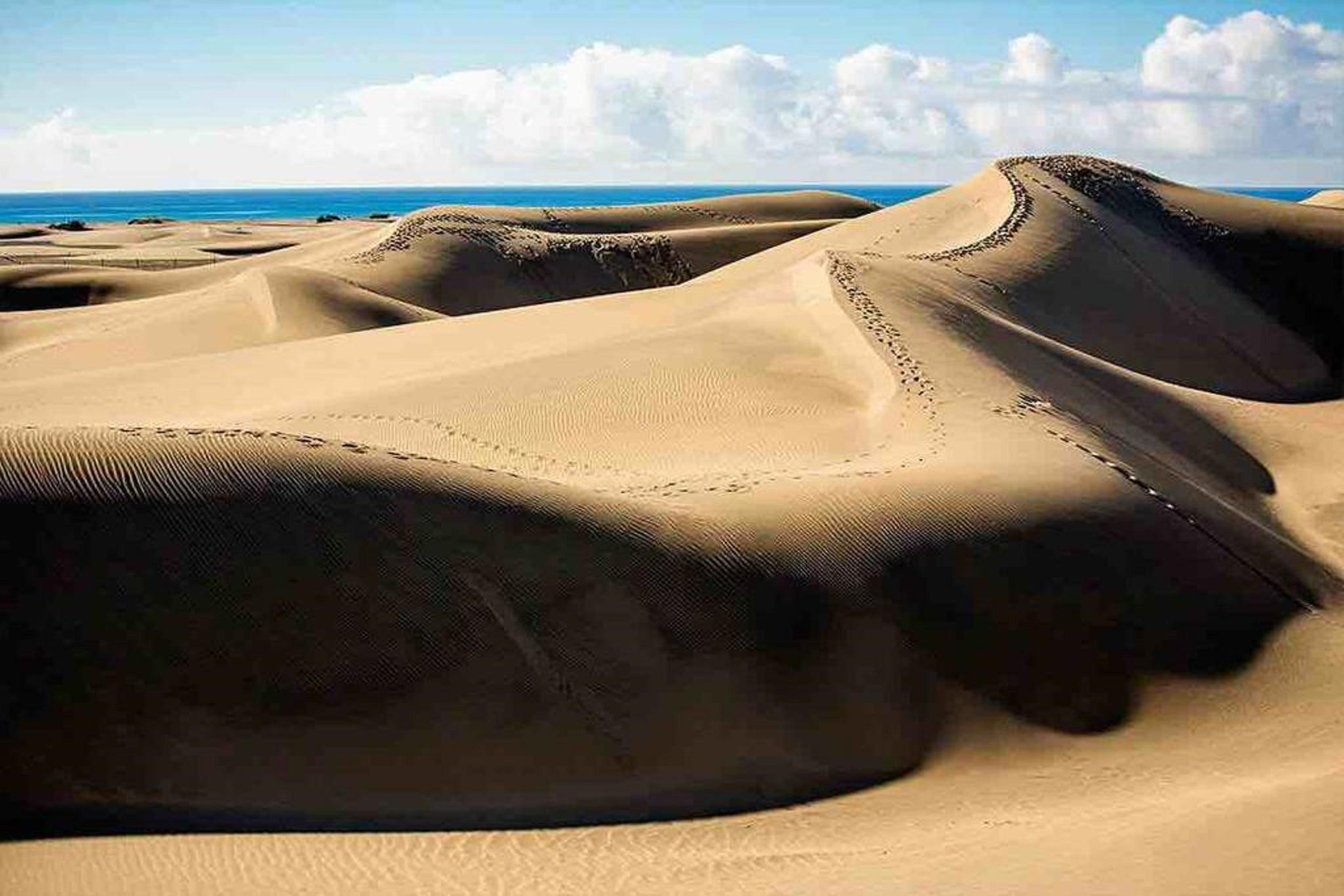 Canary Garden Club Feriested Maspalomas (Gran Canaria)